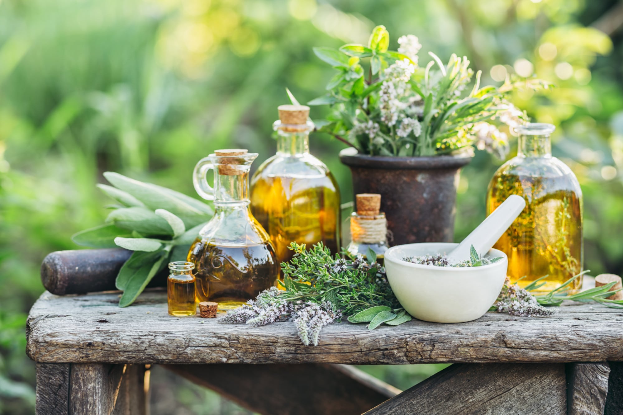 Fresh herbs from the garden and the different types of oils for massage and aromatherapy.