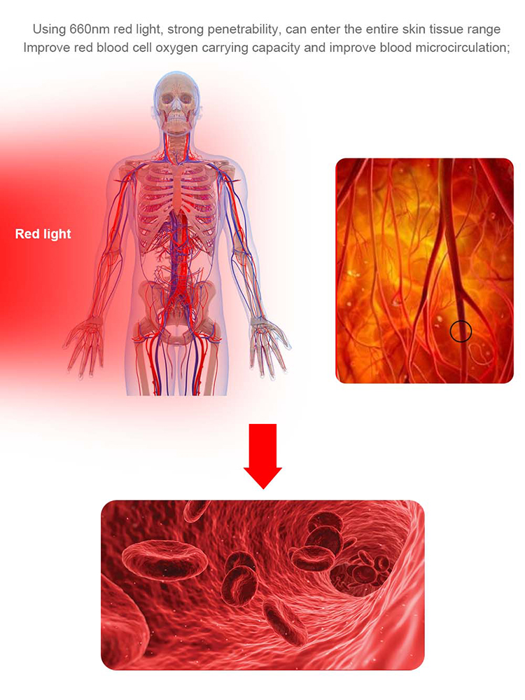 Red Light Table Fat Loss